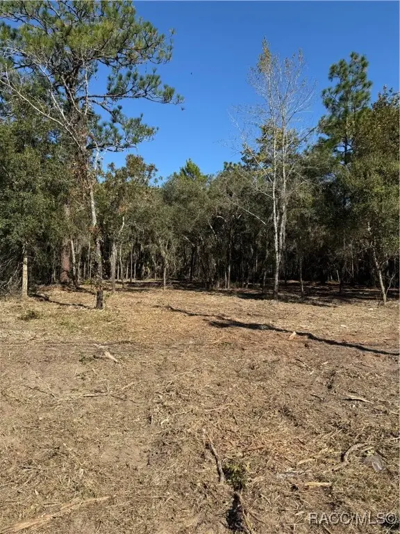 559 E Gulf To Lake Highway, Lecanto, FL 34461 - Image #1