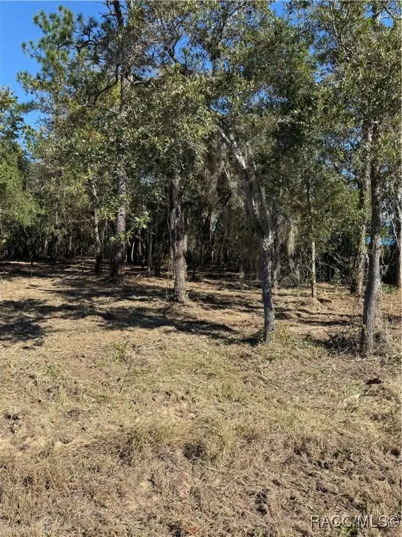 559 E Gulf To Lake Highway, Lecanto, FL 34461 - Image #2