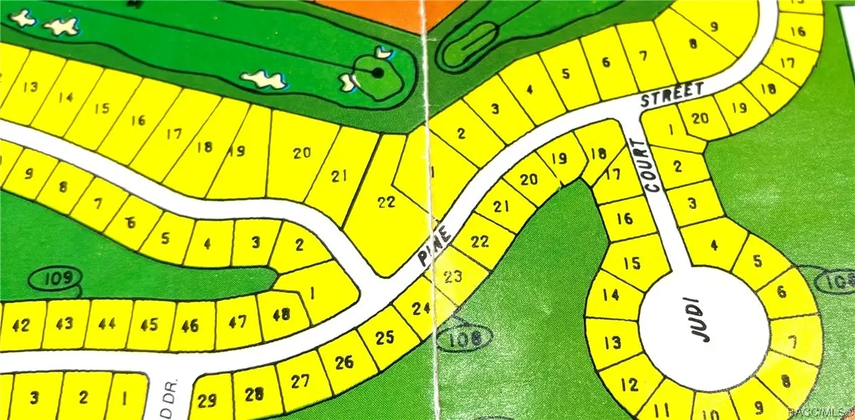 125 Pine Street, Homosassa, FL 34446 - Image #1