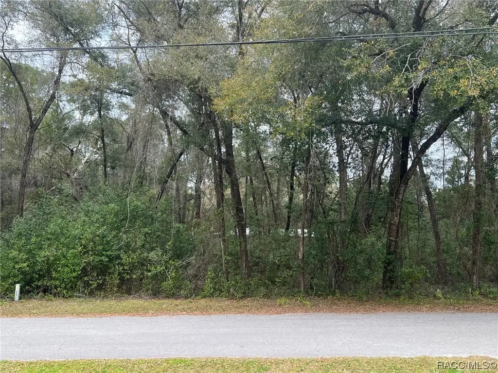 6233 E Joyce Lane, Inverness, FL 34452 - Image #1
