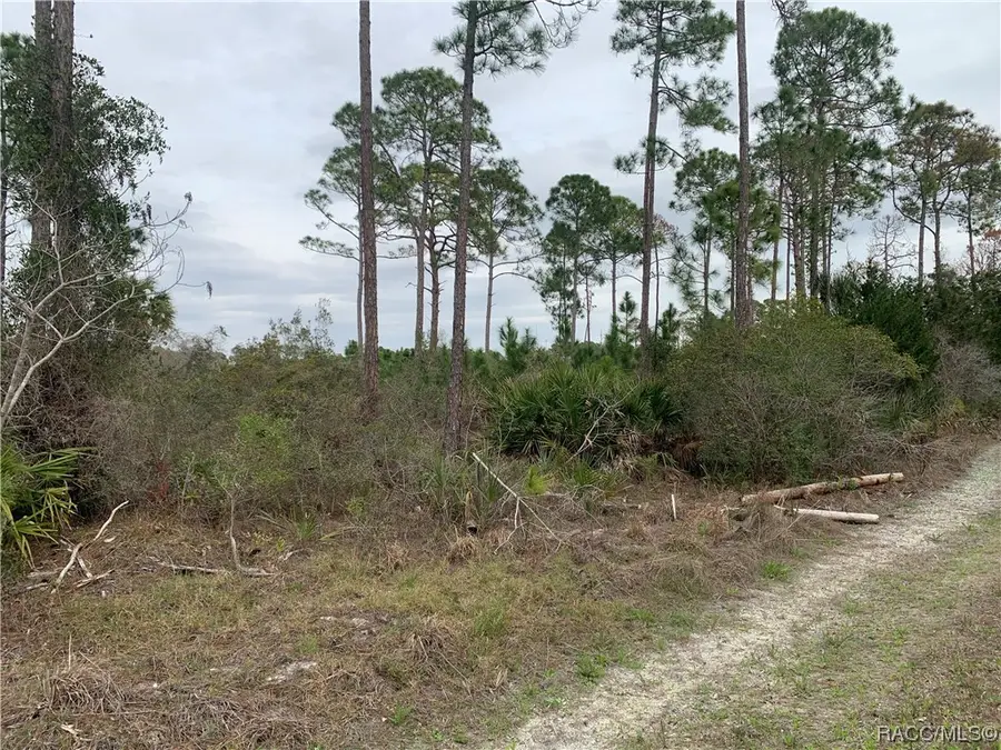 00 153rd Terrace, Cedar Key, FL 32625 - Image #2