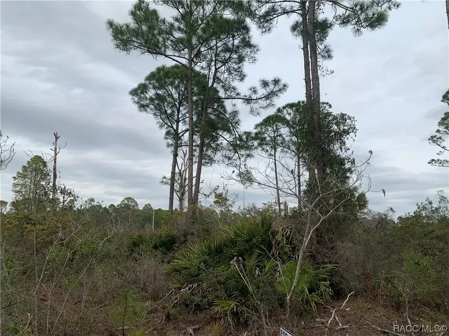 00 153rd Terrace, Cedar Key, FL 32625 - Image #3