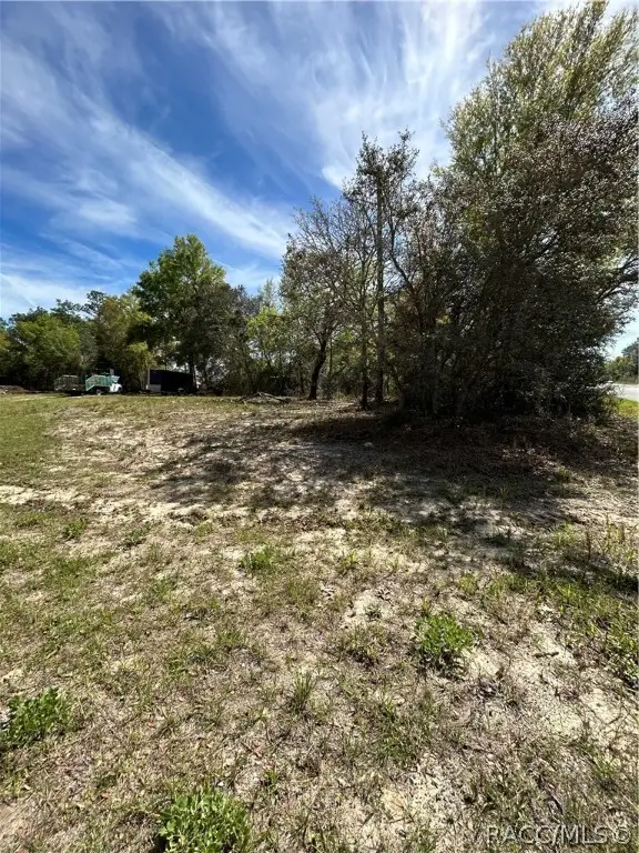 2090 W Roseboro Drive, Citrus Springs, FL 34434 - Image #2