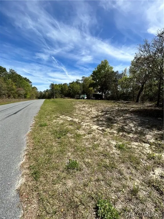 2090 W Roseboro Drive, Citrus Springs, FL 34434 - Image #3