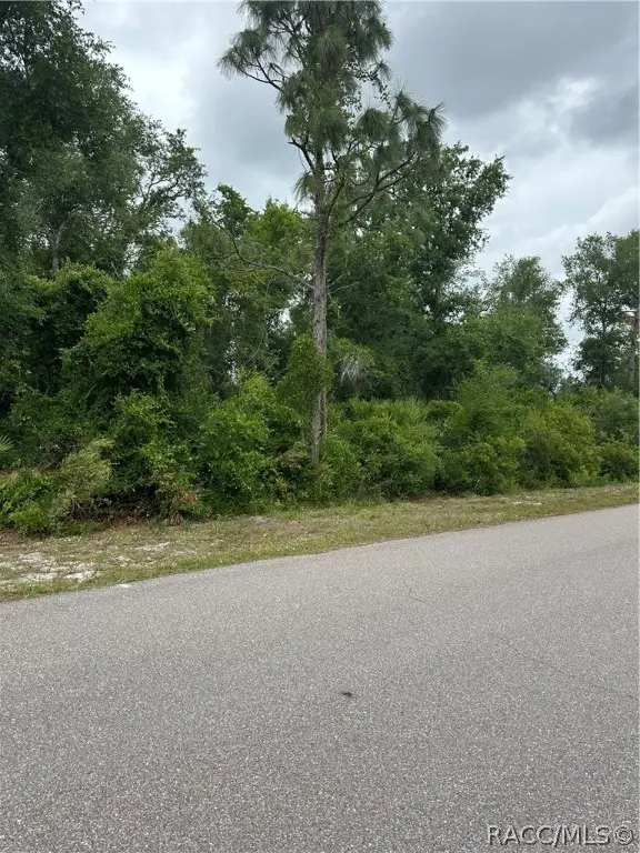 145 Bodine Street, Punta Gorda, FL 33982 - #2