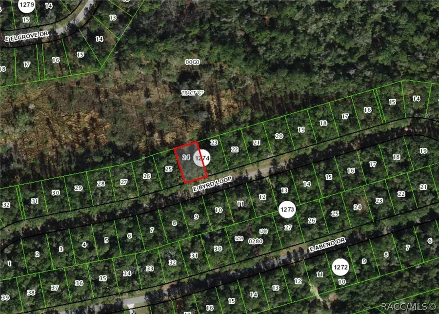 737 E Byrd Loop, Citrus Springs, FL 34434 - Image #2
