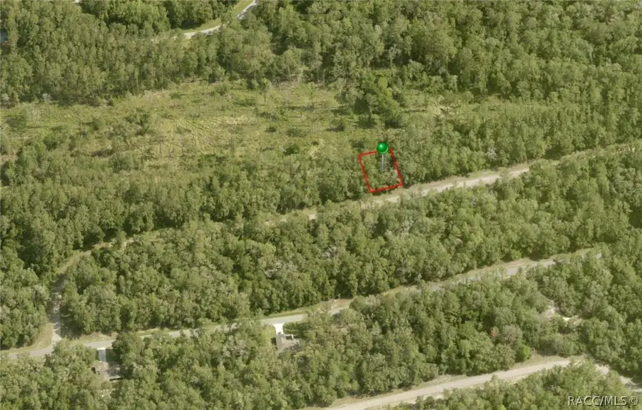 737 E Byrd Loop, Citrus Springs, FL 34434 - Image #3