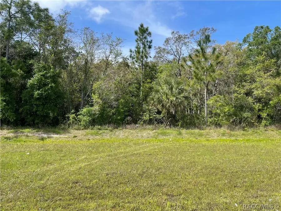 4584 S Suncoast Boulevard, Homosassa, FL 34446 - Image #2