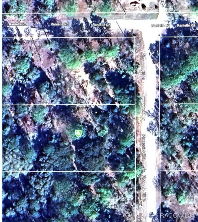 TBD SW Pineapple Hill Drive, Dunnellon, FL 34431 - Image #3