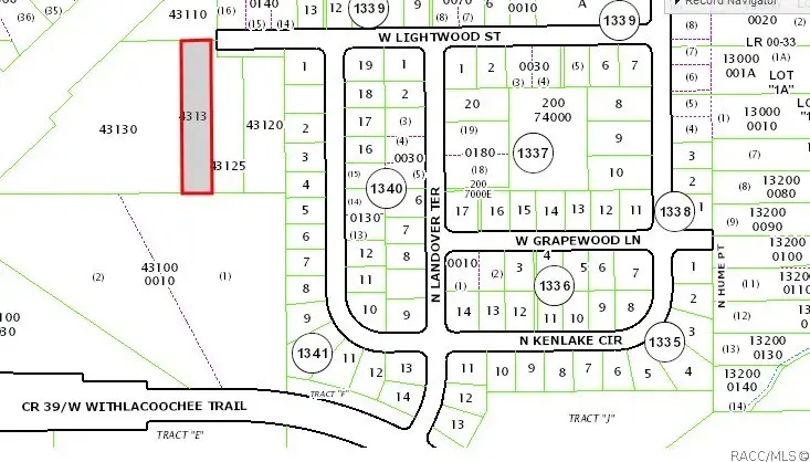 796 W Lightwood Street, Dunnellon, FL 34434 - Image #2