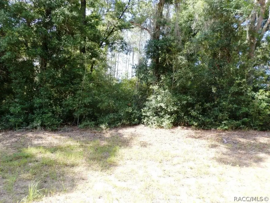 796 W Lightwood Street, Dunnellon, FL 34434 - Image #3