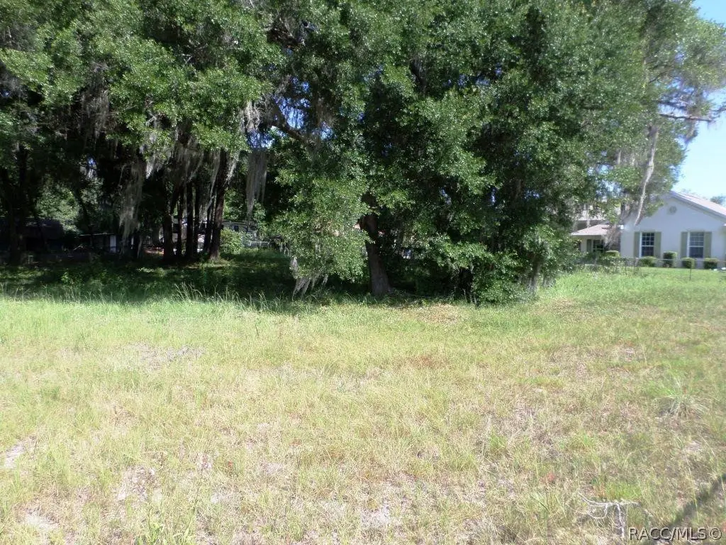 000 Blue Heron Drive, Dunnellon, FL 34432 - #1