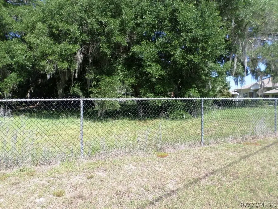000 Blue Heron Drive, Dunnellon, FL 34432 - #2