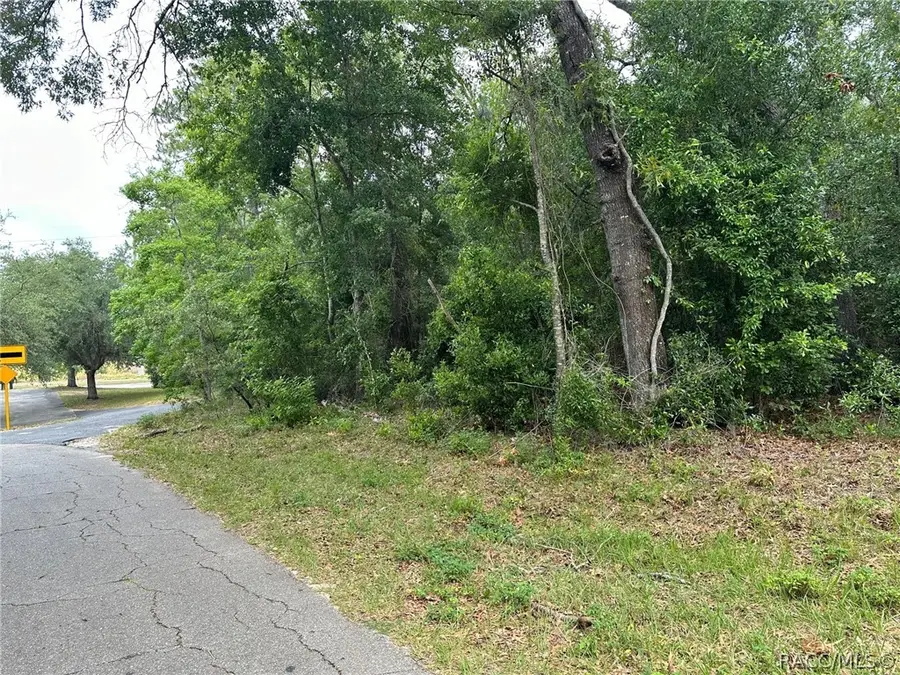 2757 Fairfax Court, Pine Ridge, FL 34465 - Image #3