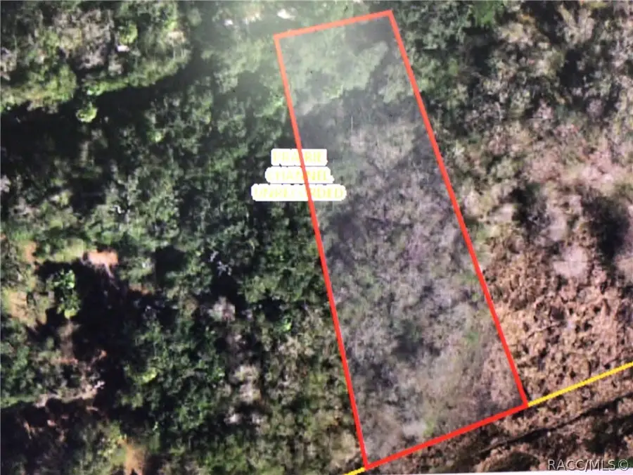 6638 E Channel Drive, Hernando, FL 34442 - Image #2