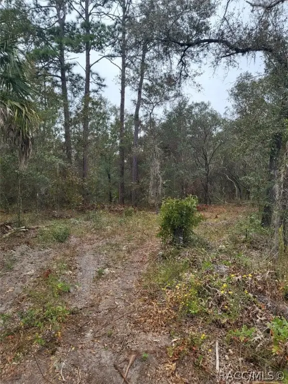 xx 125th Court, Dunnellon, FL 34431 - Image #1