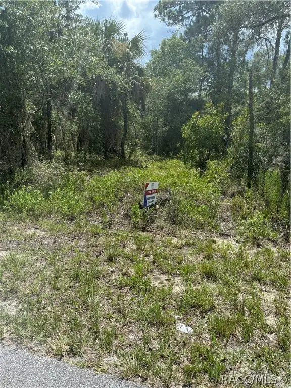 xx 125th Court, Dunnellon, FL 34431 - Image #3