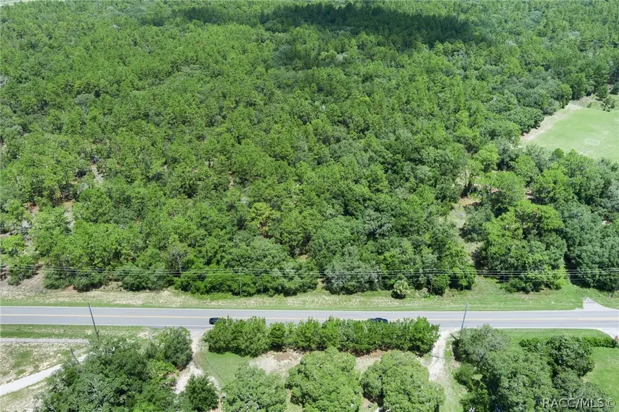 4479 W Homosassa Trail, Lecanto, FL 34461 - Image #3