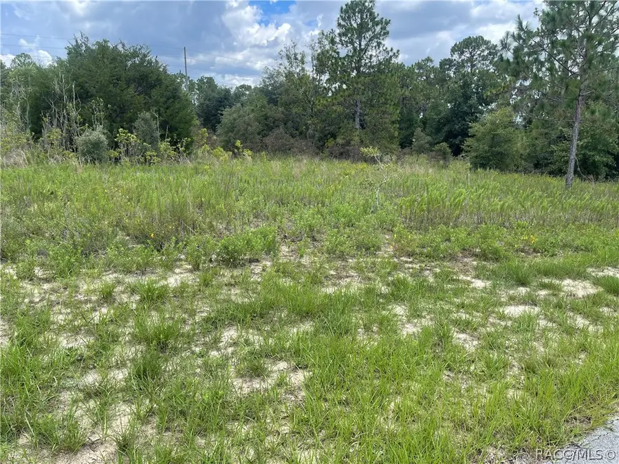 6028 W Alessi Place, Dunnellon, FL 34433 - #2