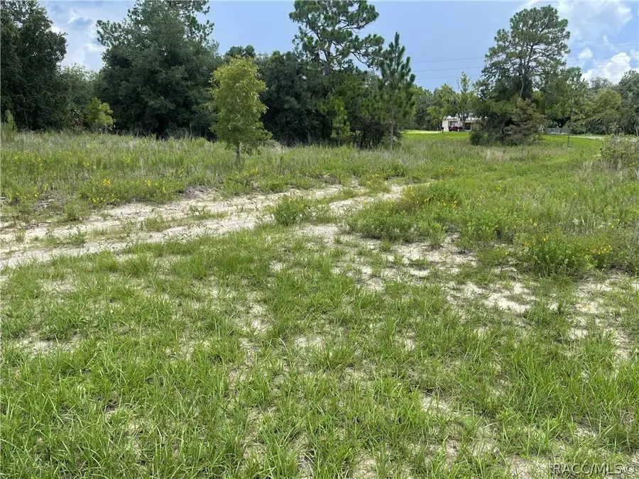 6028 W Alessi Place, Dunnellon, FL 34433 - #3