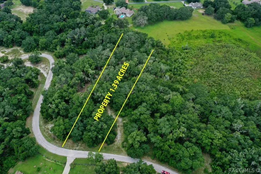 4220 S Kenvera Loop, Inverness, FL 34450 - Image #2