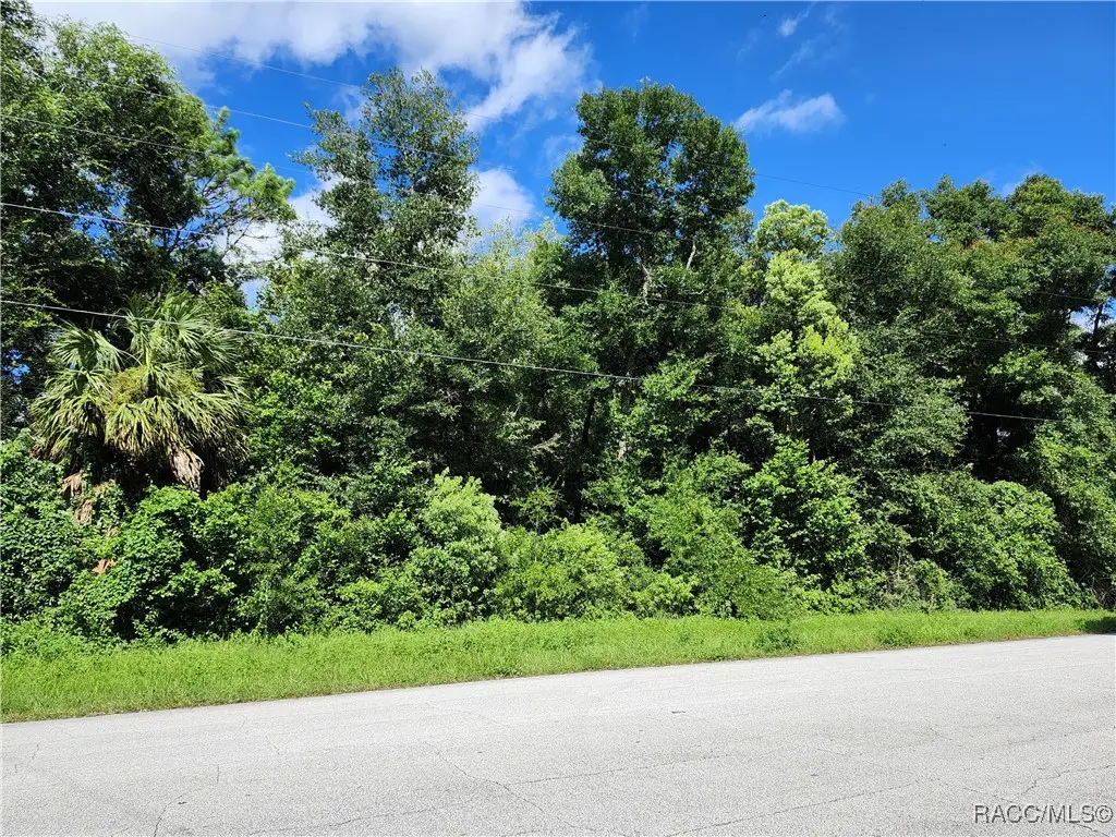 8841 N Golfview Drive, Citrus Springs, FL 34434 - #1