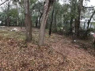 8228 W Kennedy Lane, Crystal River, FL 34428 - Image #1