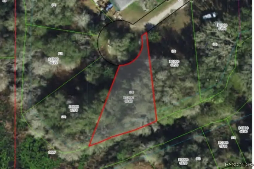 96 N Sheltering Oaks Drive, Inverness, FL 34453 - Image #3