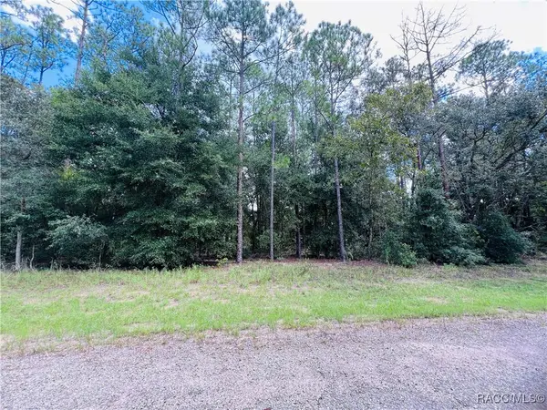 8681 N Wallingford Avenue, Citrus Springs, FL 34434