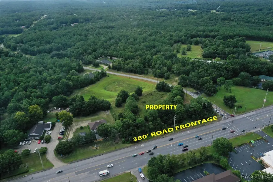 2314 W Perchwood Drive, Beverly Hills, FL 34465 - #3