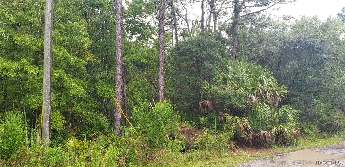 1179 N Tessa Terrace, Crystal River, FL 34429 - #1