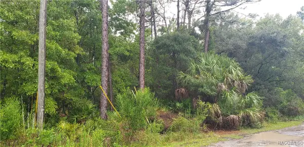 1179 N Tessa Terrace, Crystal River, FL 34429