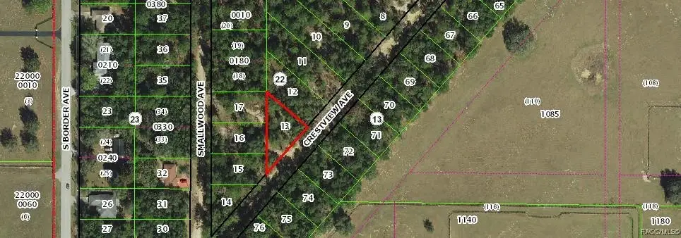 318 S Crestview Avenue, Inverness, FL 34452 - Image #1