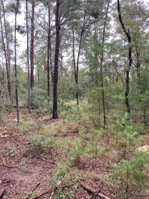 5809 W Costa Mesa Lane, Beverly Hills, FL 34465 - #2