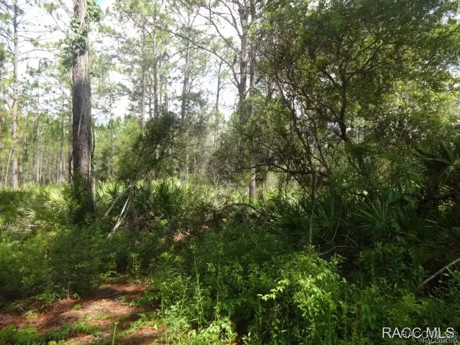 7970 W Delta Court, Crystal River, FL 34428 - Image #3