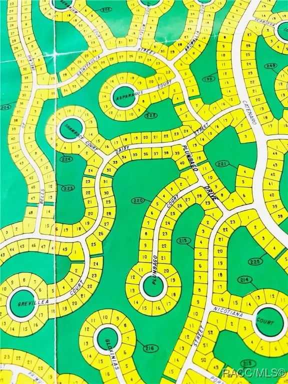 18 Saintpaulia Street, Homosassa, FL 34446 - Image #3