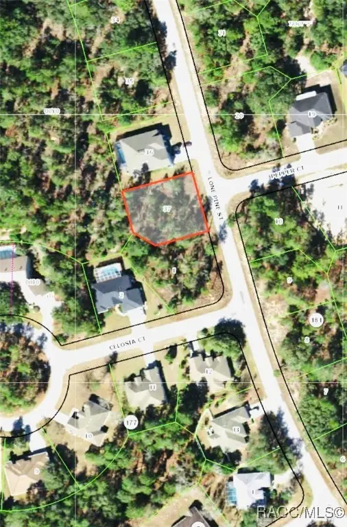 43 Lone Pine Street, Homosassa, FL 34446 - Image #2