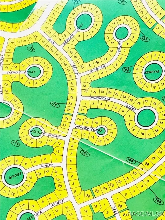 43 Lone Pine Street, Homosassa, FL 34446 - Image #3