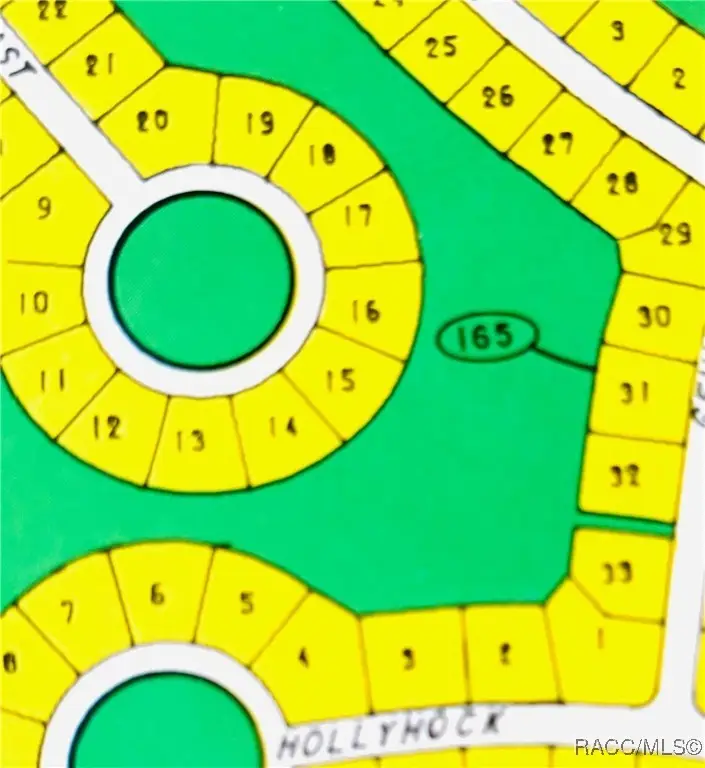 46 Birchtree Street, Homosassa, FL 34446 - Image #1