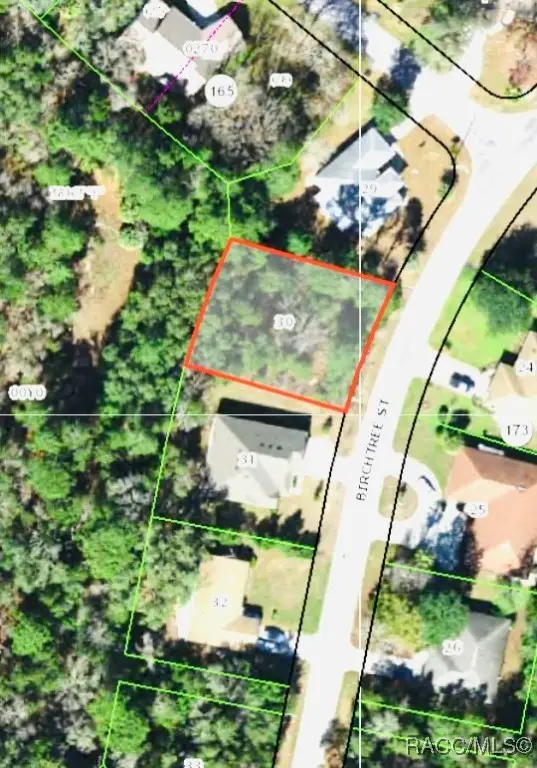 46 Birchtree Street, Homosassa, FL 34446 - Image #2