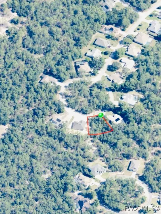 17 Bonnie Court S, Homosassa, FL 34446 - Image #3
