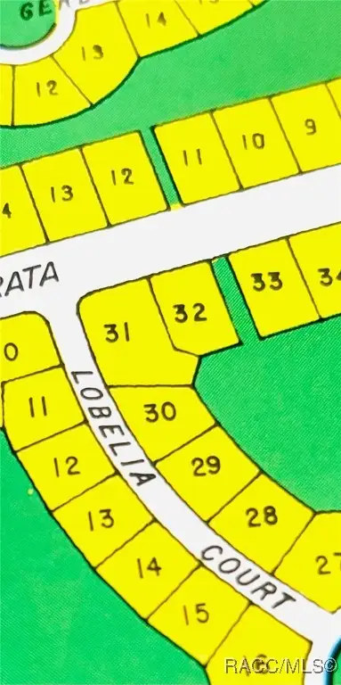 7 Lobelia Court, Homosassa, FL 34446 - Image #1