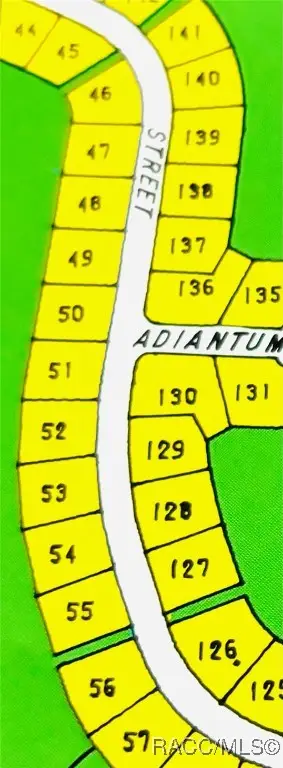 67 Grass Street, Homosassa, FL 34446