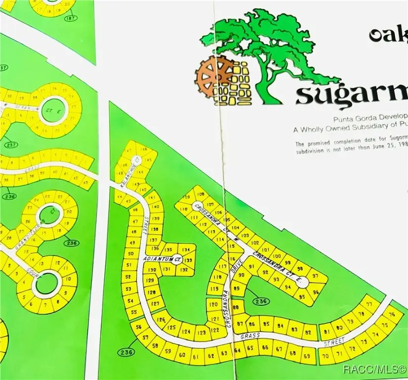 67 Grass Street, Homosassa, FL 34446 - Image #3