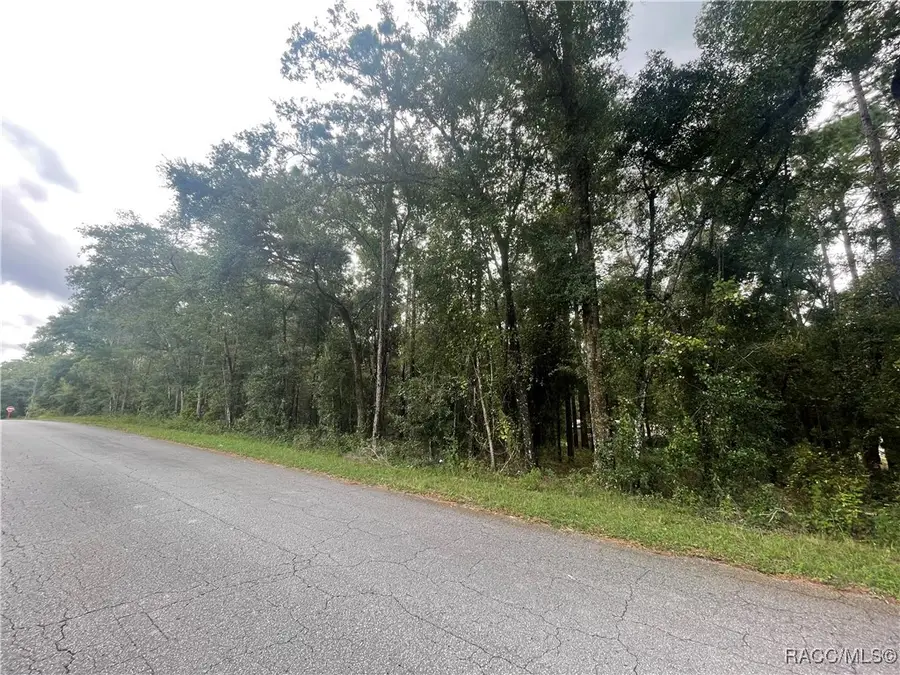 6534 Kent Street, Inverness, FL 35542 - Image #3