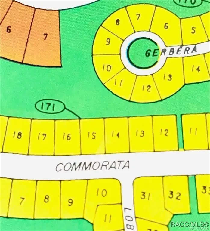 29 Oak Village Boulevard, Homosassa, FL 34446 - Image #1