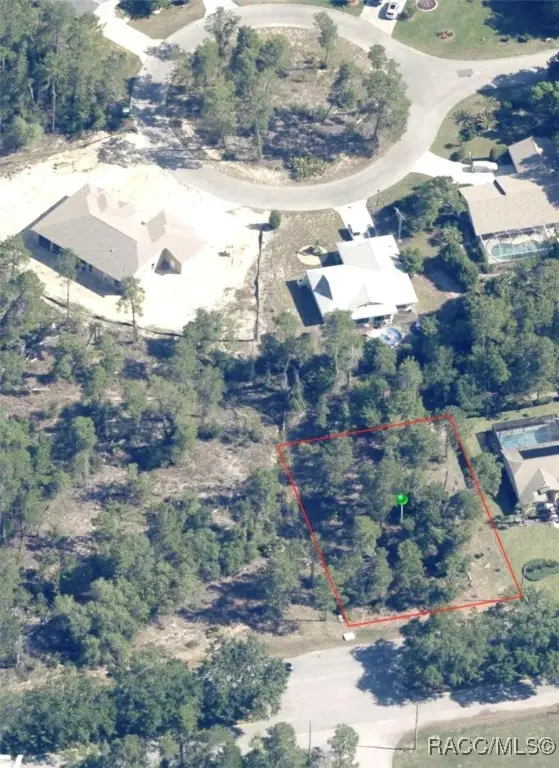 29 Oak Village Boulevard, Homosassa, FL 34446 - Image #3