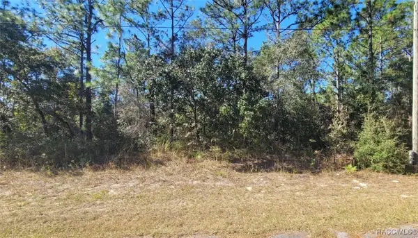 8622 N Empire Avenue, Citrus Springs, FL 34433