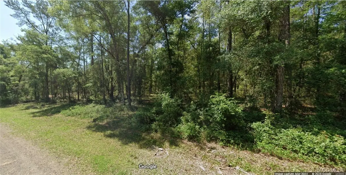 1507 E Derby Drive, Citrus Springs, FL 34434 - #1