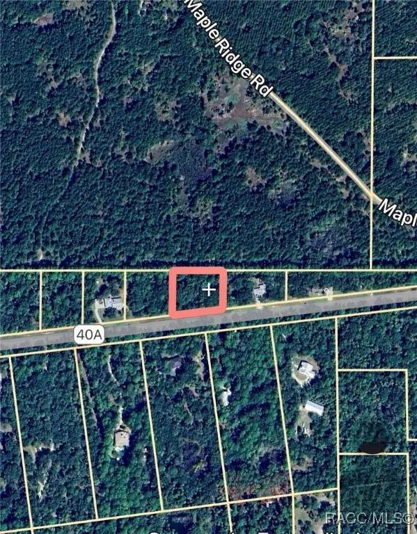 Lot 4 SE 193rd Place, Yankeetown, FL 34498 - Image #2